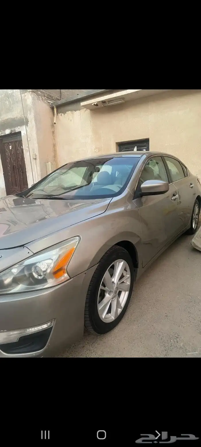 للبيع التيما . 3