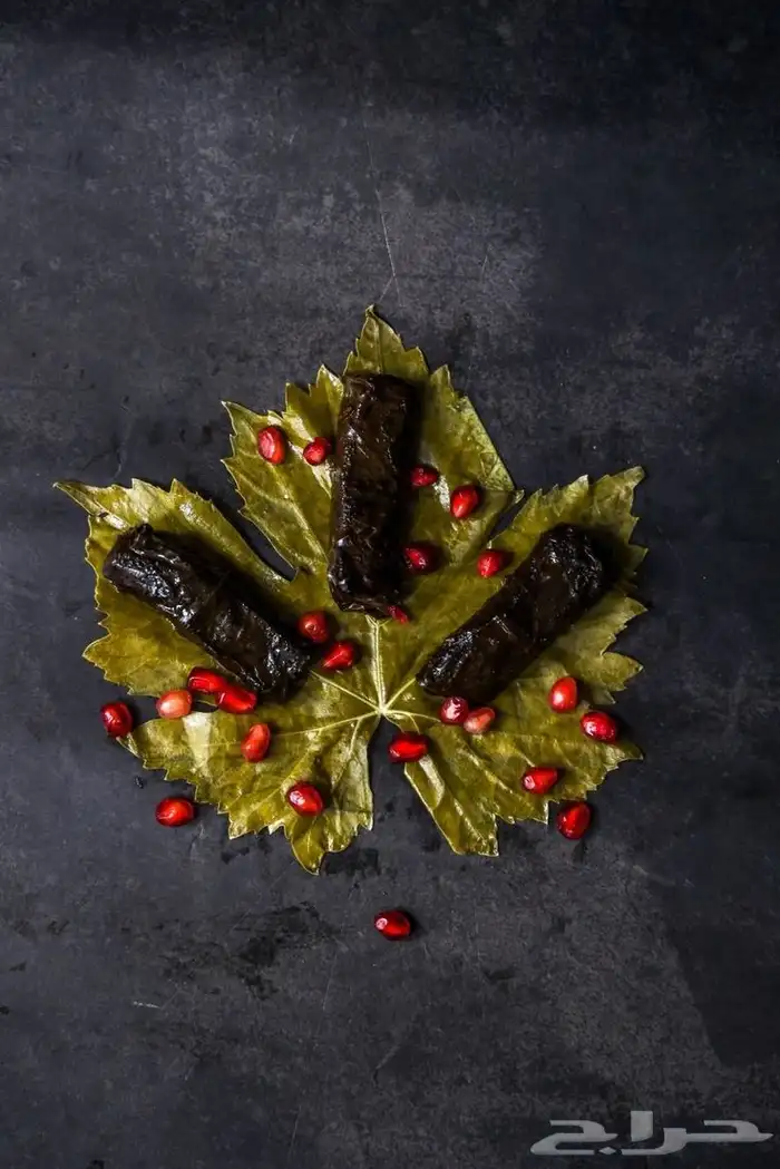 لف السمبوسه ولف ورق عنب ولف أصابع جبن سويتز للمطاعم 3