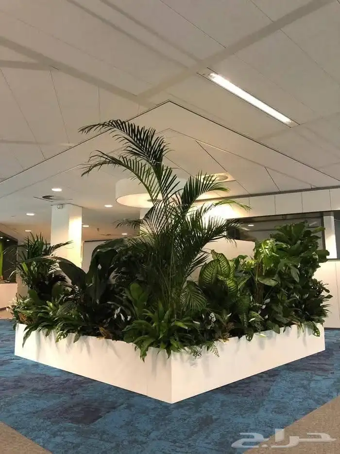 ديكورات وتنسيق الحدائق 9