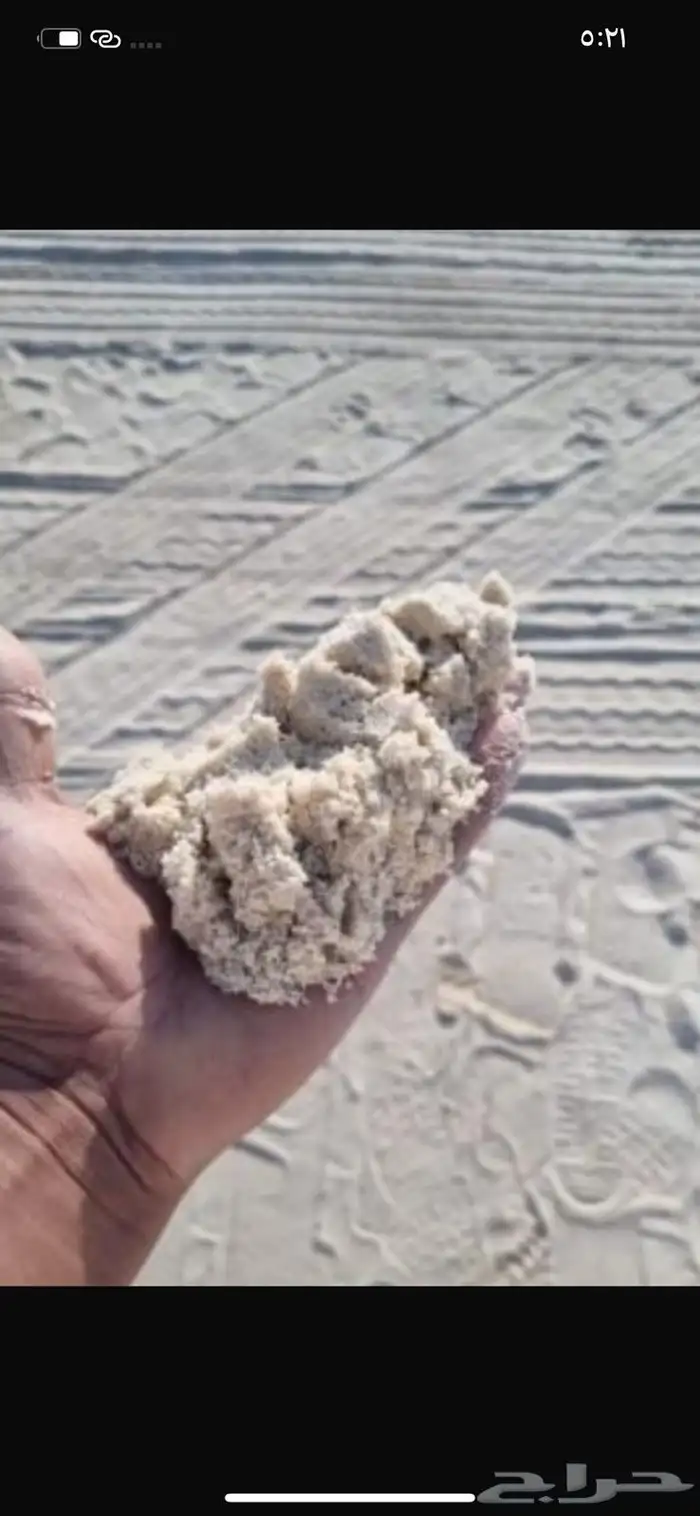 توريد جميع انواع البطحاء الرياض والخشنه والاسمنت 5