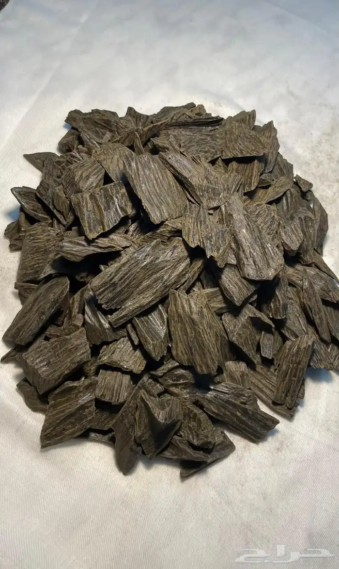 جميع أنواع العود بأقل الأسعار 4