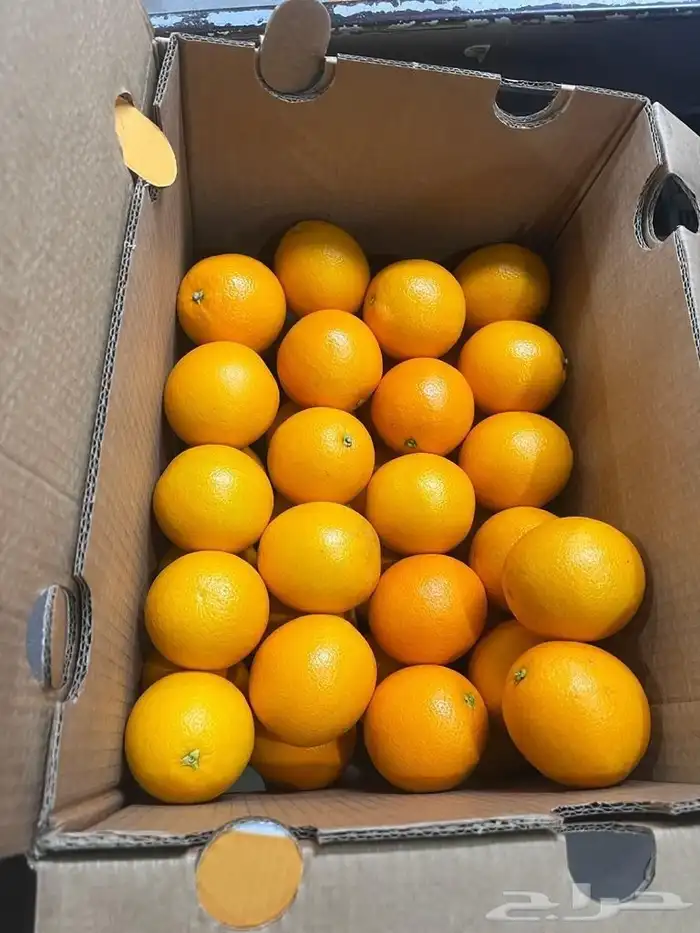 استثمار متميز فى مشروع جيد 0