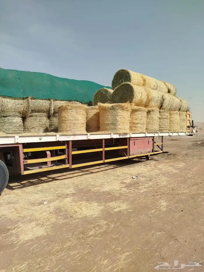 رودس لفات مقاس 115وزن طيب ناعم جوده اللفه تقيله ومضغوطه 0