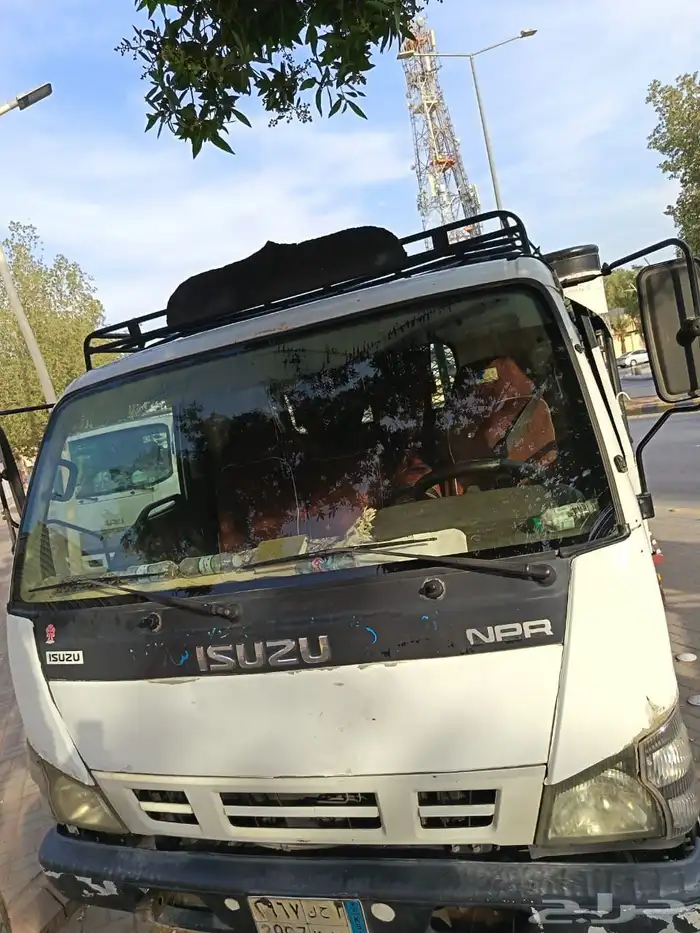 دينا اسوزو 3