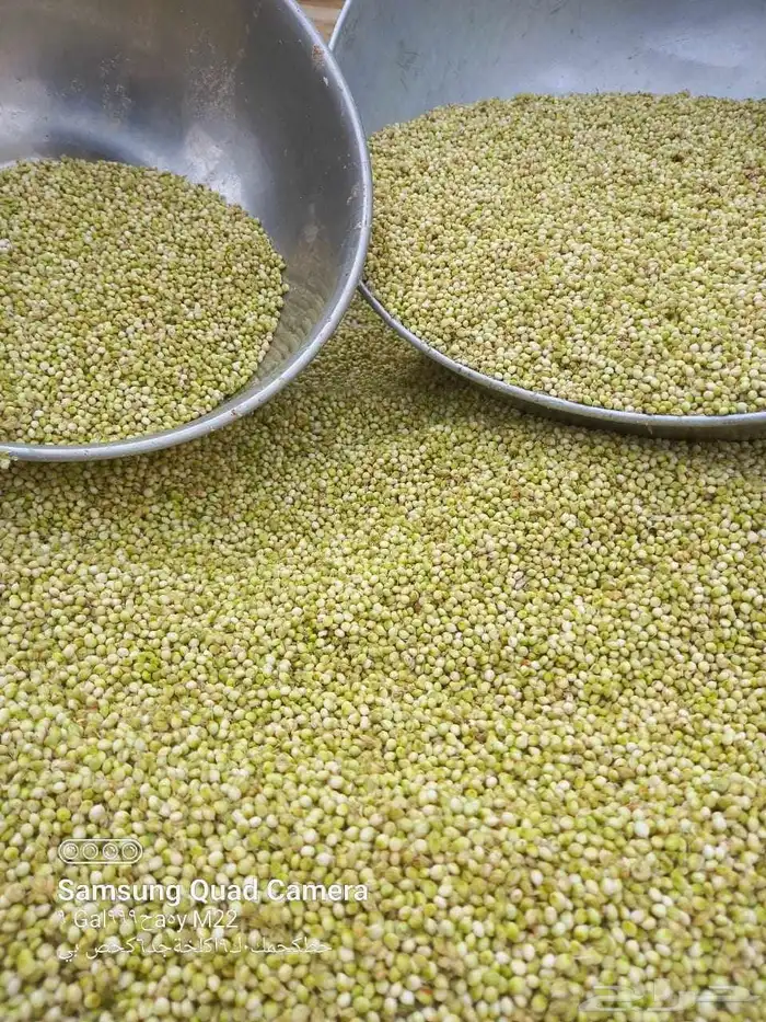 توفر الخضير الحب والجاهز حياكم الله 0