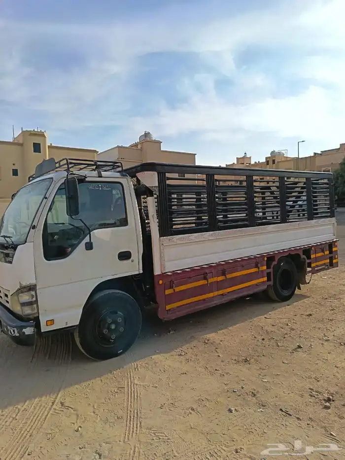 دينا اسوزو 2