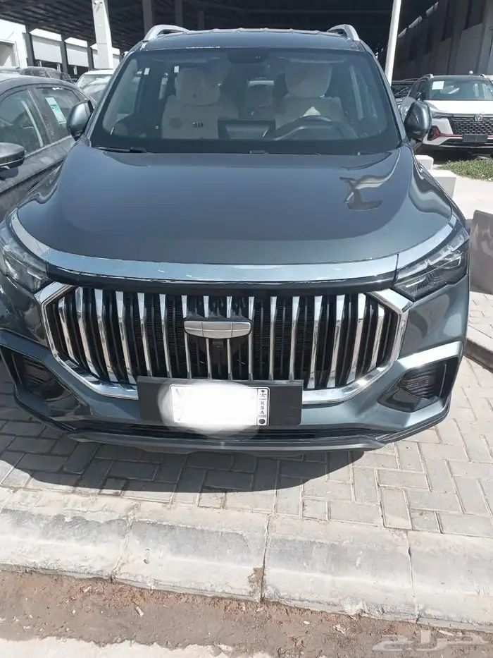 جيلي أوكافانجو 2025 3