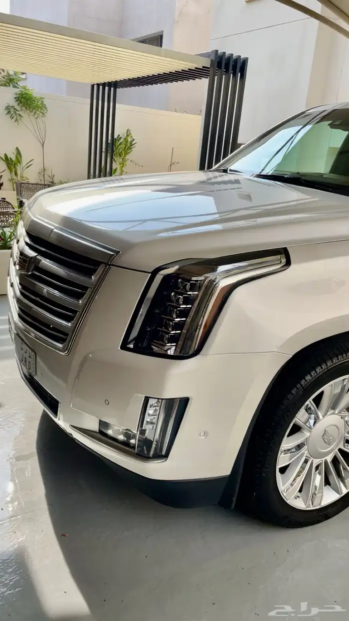 كاديلاك اسكاليد بلاتنيوم ( مخزن ) 11