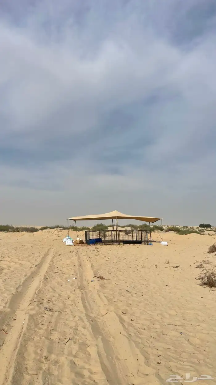 شبوك عزبة للبيع 1