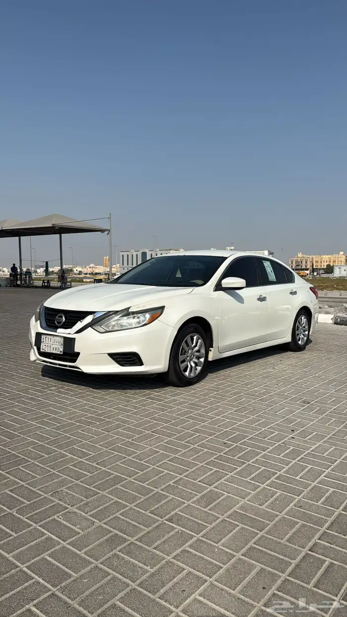 التيما 2017 بدي وكاله 4