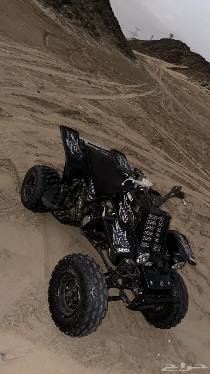 بانشي اسود 2005 6