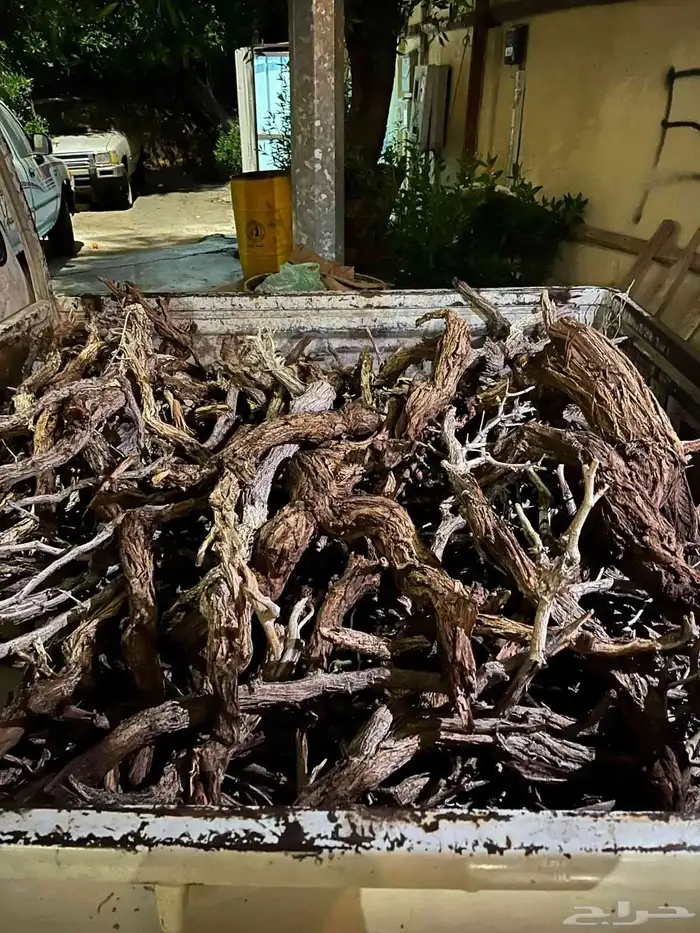 للبيع حطب ارطا على السوم 0