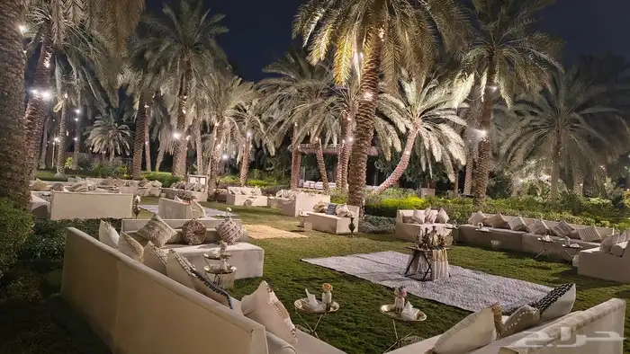 تاجير جلسات فخمه تاجير دفايات قهوجي وصباب رجال ونساء 6