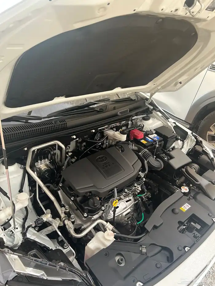 يارس 2024 شد بلد 14