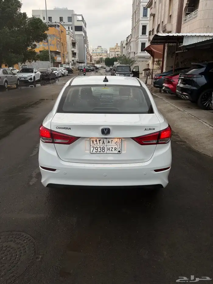 شانجان السفن2025 9