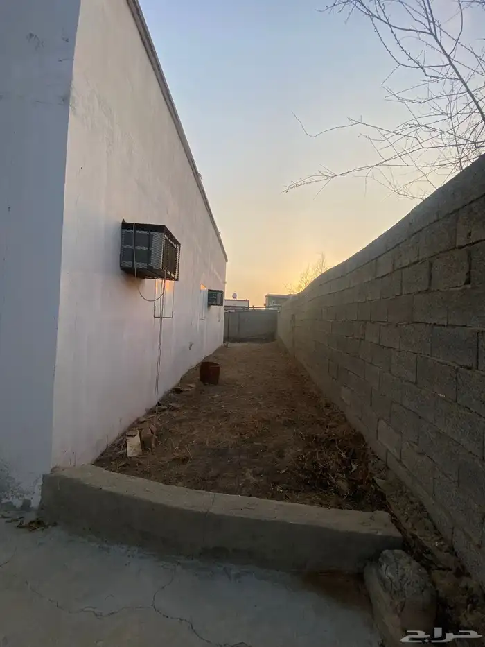 لإيجار كبر رجال المع 14