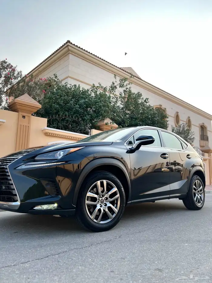 لكزس NX300 قمة النظافة 2020 ممشى قليل بحالة الوكالة 1