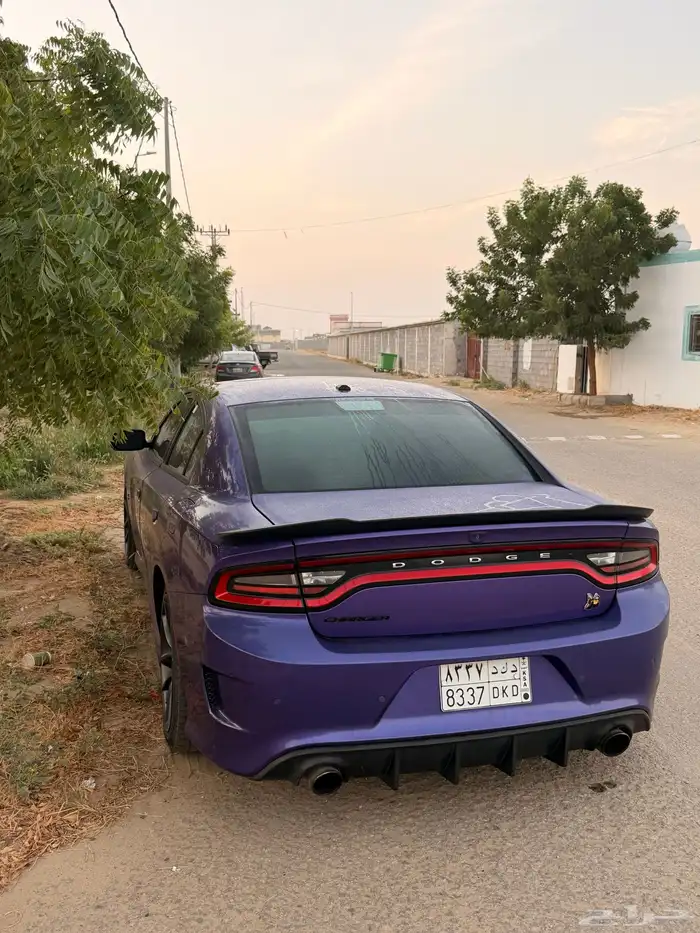 دودج تشارجر سكات باك 2019 0