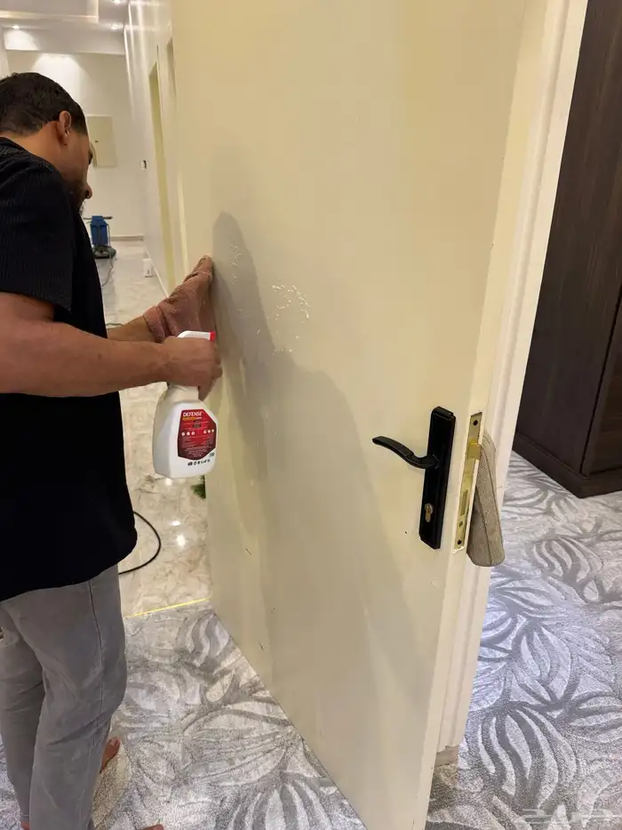 جلي بلاط وتنظيف عام 10