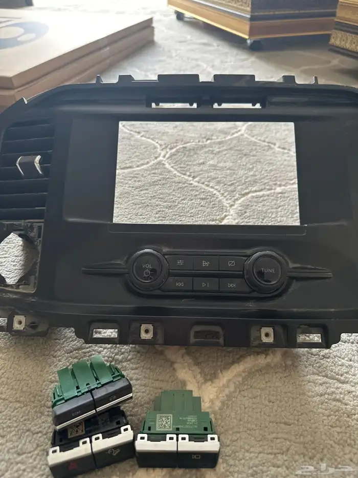 شاشة مع ديكور رابتر 1