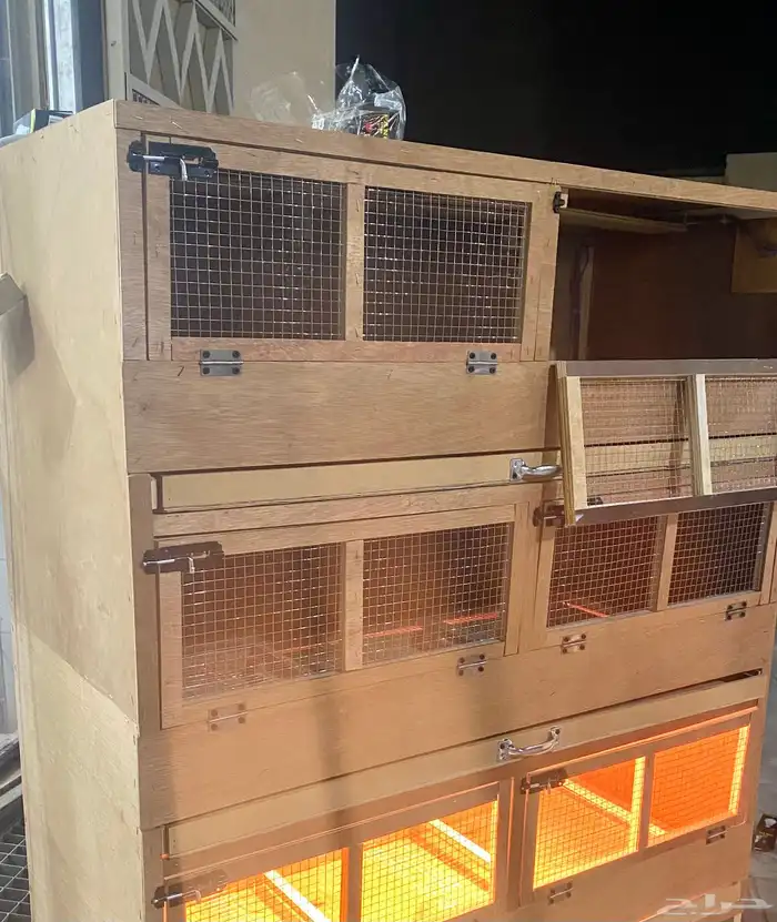 حاضنات صوص دجاج سمان بط 2