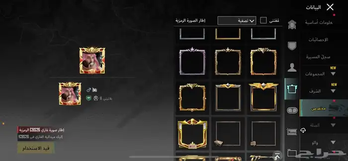 حساب ببجي 14