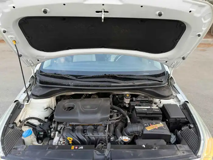 أكسنت فل كامل 2020 15