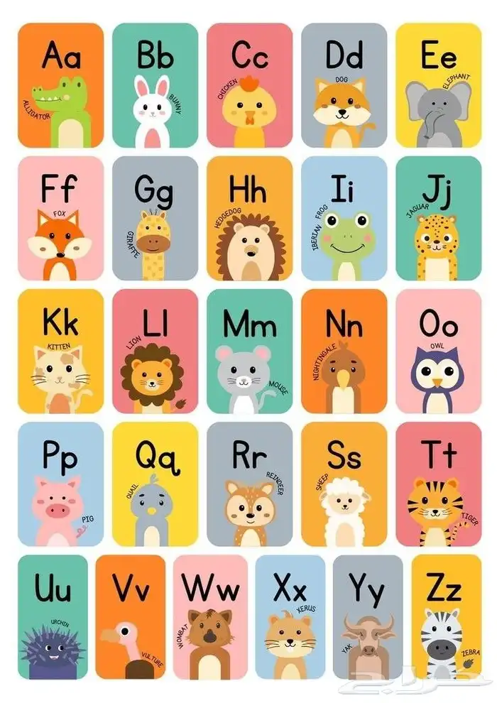 مدرسة انجليزي 3