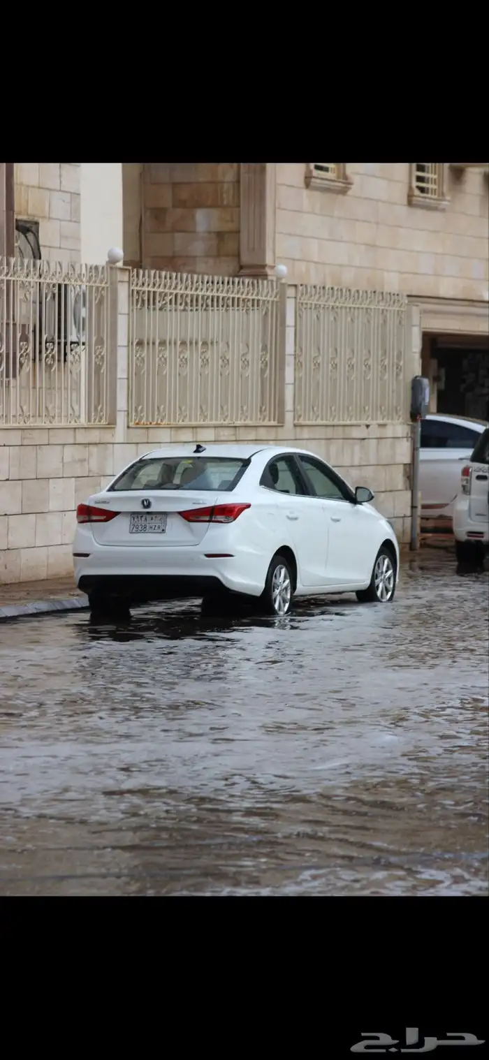 شانجان السفن2025 11