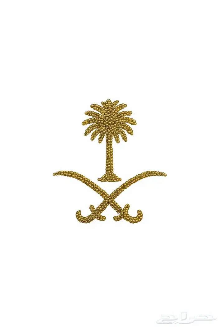 توصيل طلبات توصيل مشاوير داخل و خارج الطائف 0