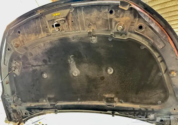 شيري اريزو6 0