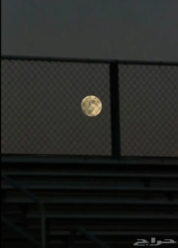 تصويرها تحت nikon نيكون d3500 شبه جديده مع العدسه 8