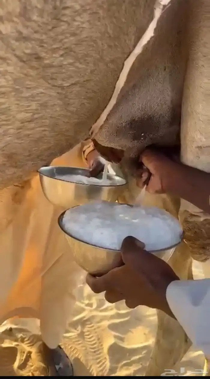 خلفه آركه من أوارك نجران 1