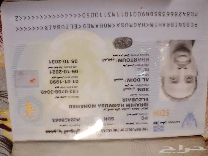 راعي غنم وابل سوداني 1