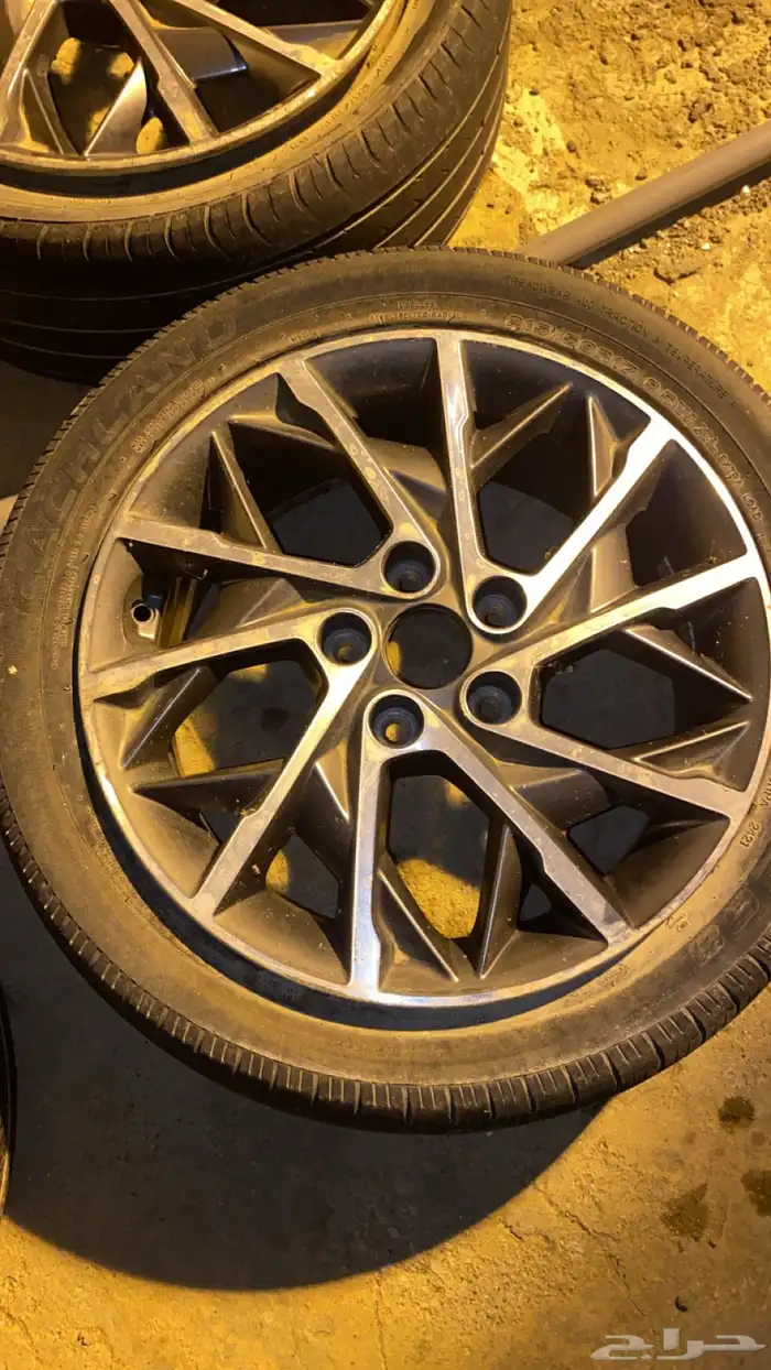 جنوط النترا 2019-2020 3