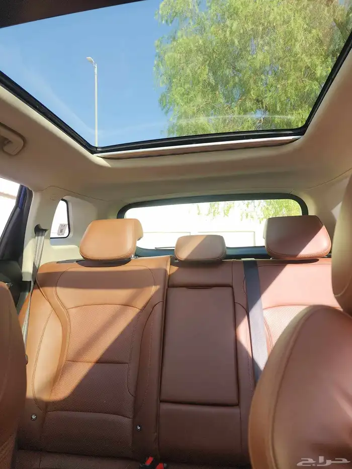 جيلى ازكارا 2021 5