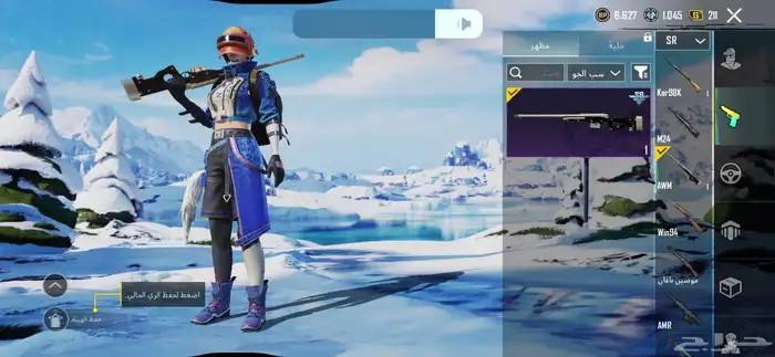 حساب ببجي 17