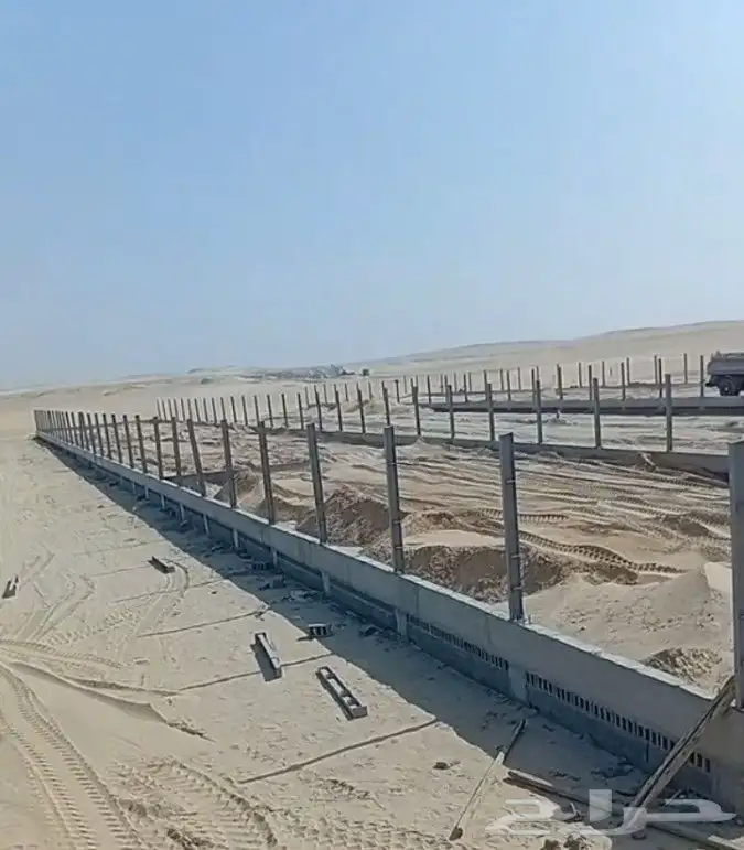 ان شاء دواجن دجاج وبسعر مناسب 9