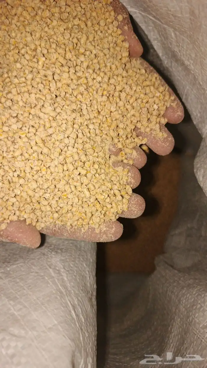 علف دواجن للبيع 1