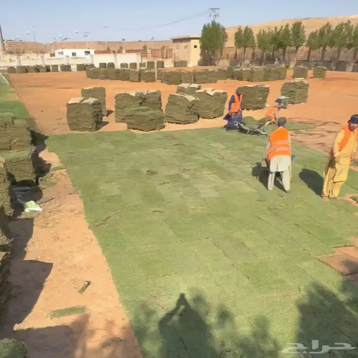 زراعه وحدائق 7