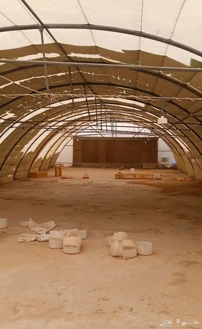 يوجد بيوت محميه مكيفه 3