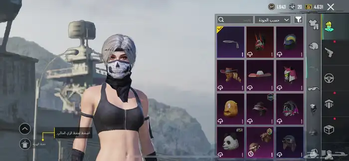 حساب ببجي فيه اسلحه مطوره 4 34