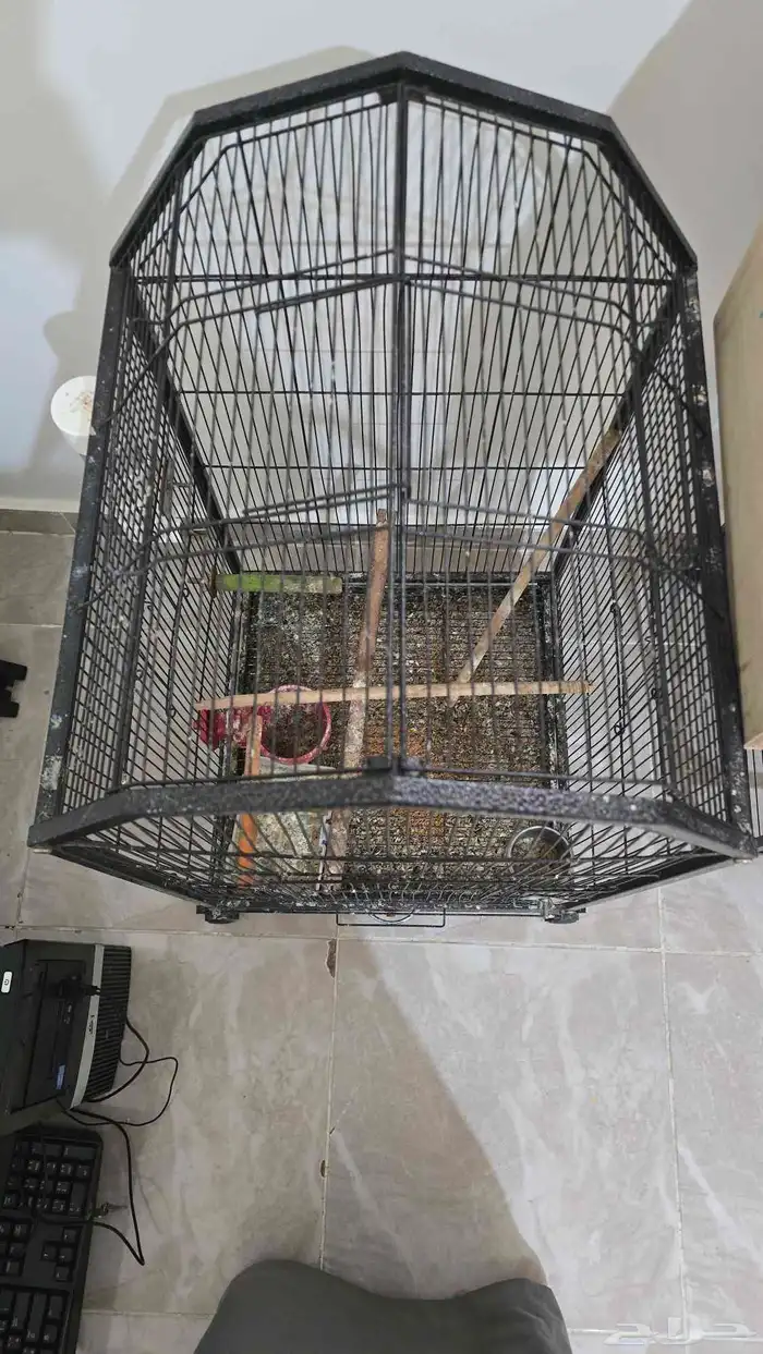 قفص طيور للبيع 3