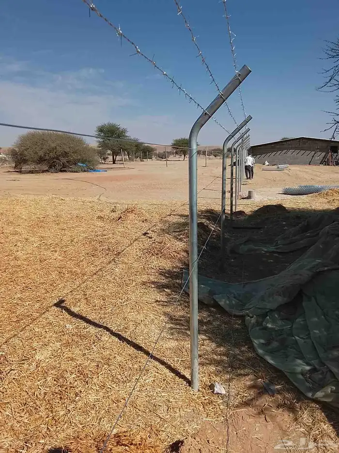 شبوك بجميع انواعها 6