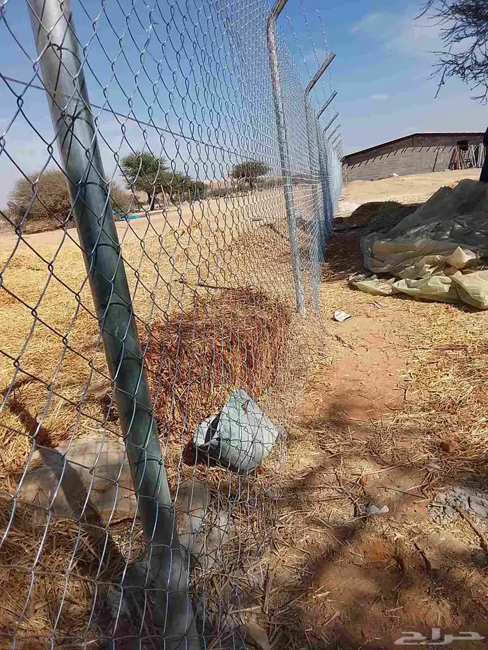 شبوك بجميع انواعها 3