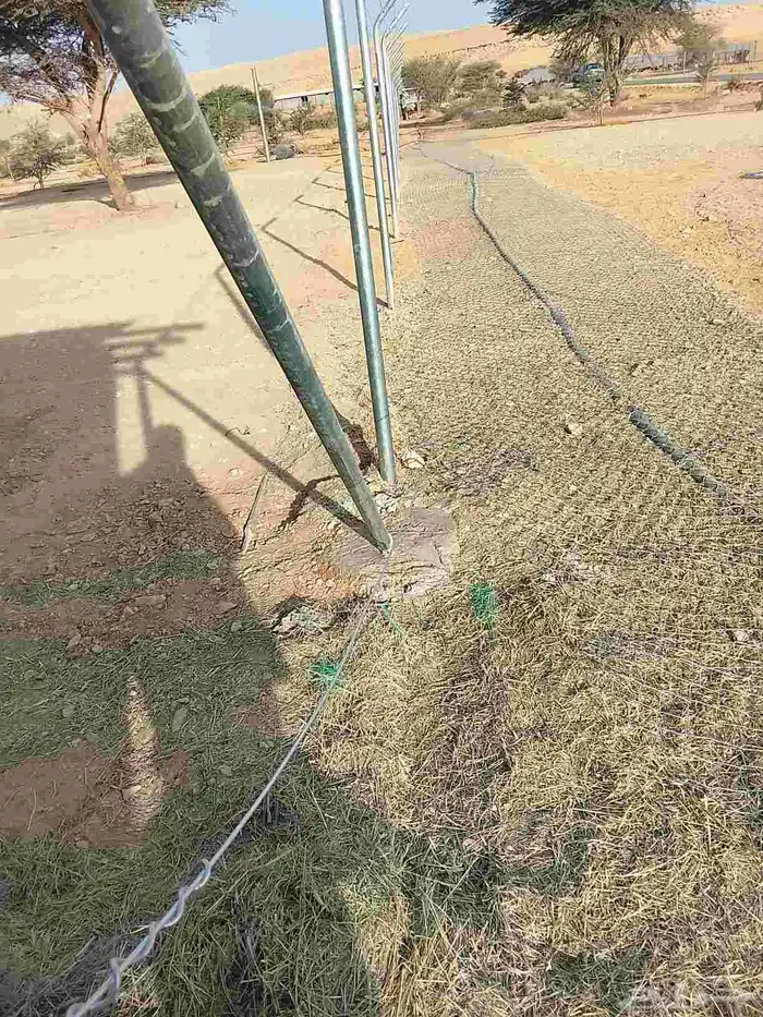 شبوك بجميع انواعها 5