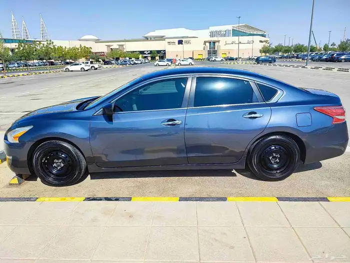 التيما 2013 ستاندرد 2