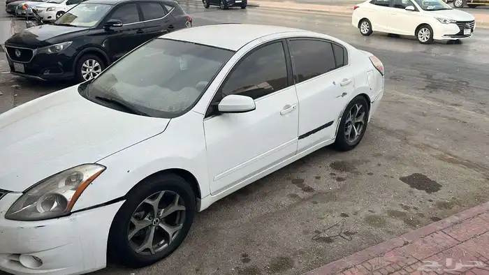 نسيان التيما 10