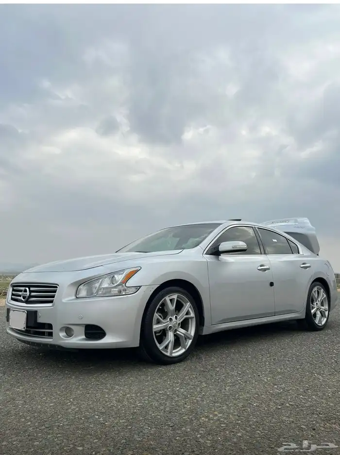 مكسيما 2014 بودي بلد 7