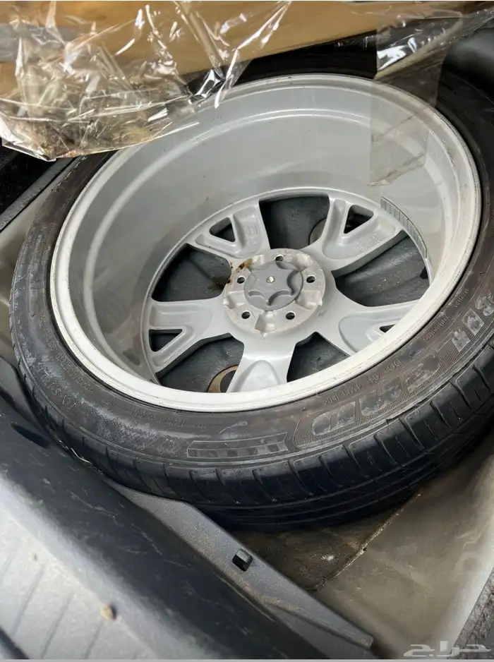 مكسيما 2014 بودي بلد 1